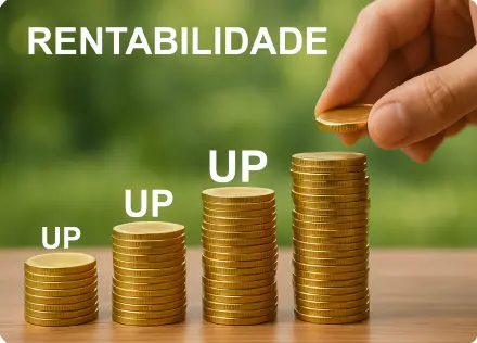 Rentabilidade